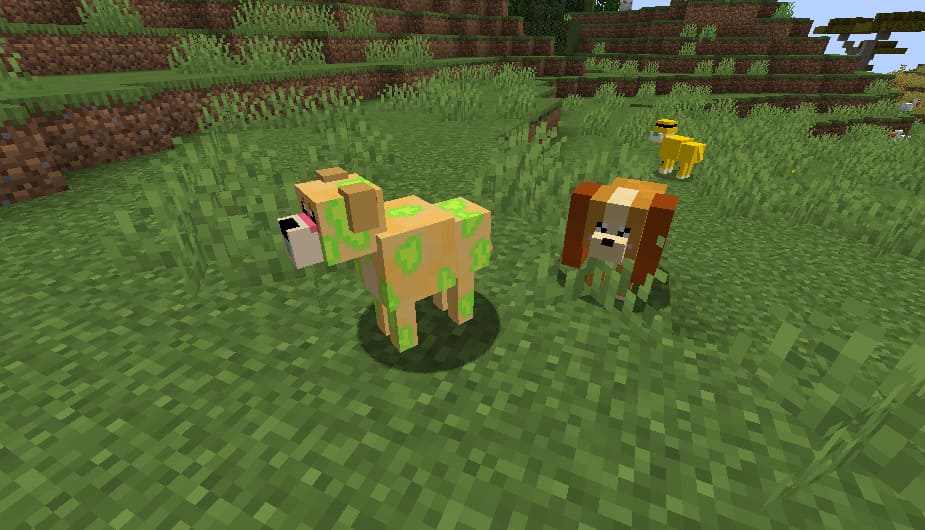 Игры майнкрафт собака. Собака из МАЙНКРАФТА. Собаки в МАЙНКРАФТЕ новый снапшот. Мод на собак в майнкрафт. Minecraft собака игра.