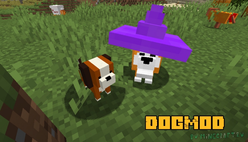 DogMod - разнообразные собаки [1.16.5]