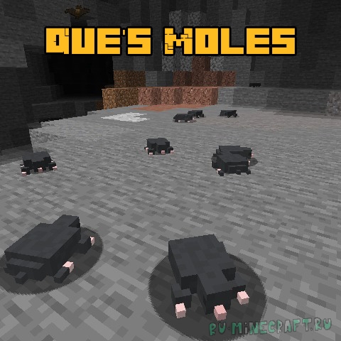 Que's Moles - кроты [1.16.5]