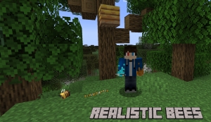 Realistic Bees - ,   [1.20.6] [1.19.4] [1.18.2] [1.17.1] [1.16.5]