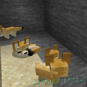 YDM's Fennec Fox -   [1.21.4] [1.20.1] [1.19.3] [1.18.2] [1.16.5]