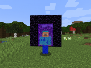 NoAd - ���������� ������� � �� [1.16.5]