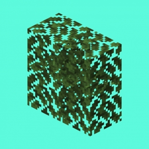 Accelerated Decay -    +  [1.20.6] [1.19.2] [1.18.2] [1.16.5]