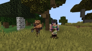 Medieval Enemies -   [1.20.1]