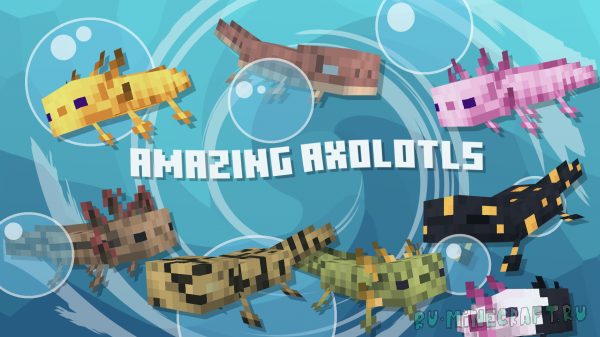 Amazing Axolotls -   [1.21.1] [1.20.6] [1.19.4] [1.18.2] [16x]