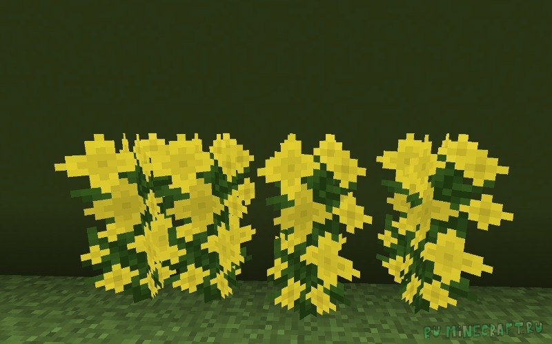 Arboreal Nature -    ,     [1.21.1]