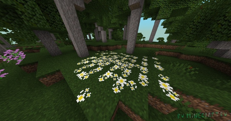 Arboreal Nature -    ,     [1.21.1]