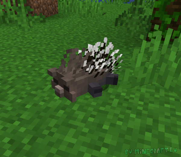 Animal Garden - Porcupine -   [1.21.4]