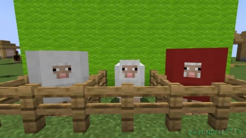 Sheep Swell -     [1.19.4] [1.18.2]