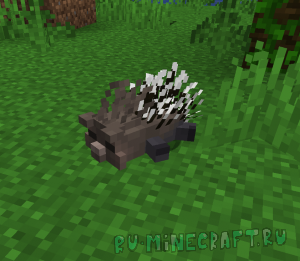 Animal Garden - Porcupine -   [1.21.4]