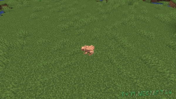 Feast of the Fallout-      Fallout [1.16.5]