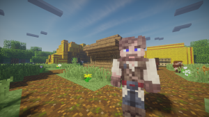    14 ,    [1.12.2]