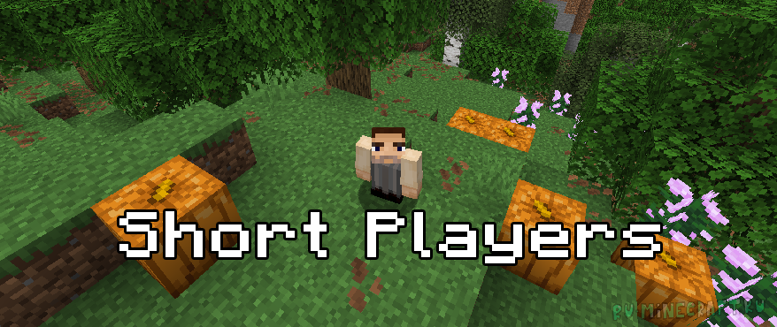 Short Players -    [1.21.5] [1.21.1] [1.20.1]