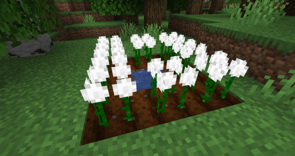 Cottonly -  [1.21.1] [1.20.4] [1.19.2] [1.18.2]