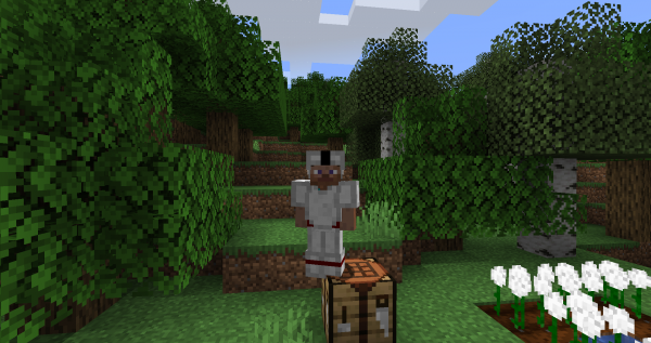 Cottonly -  [1.21.1] [1.20.4] [1.19.2] [1.18.2]
