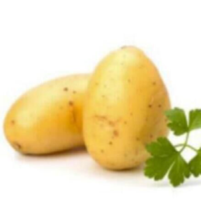 Opotato -  [1.18.2] [1.16.5]