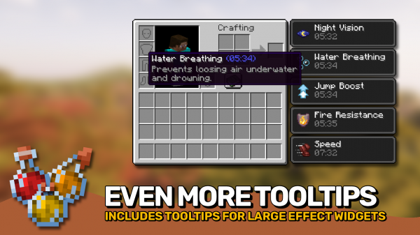 Effect Descriptions -    [1.21.8] [1.20.4] [1.18.2]