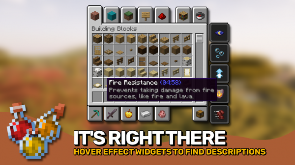 Effect Descriptions -    [1.21.8] [1.20.4] [1.18.2]
