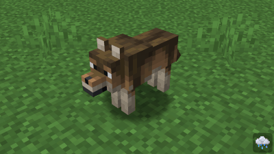 Fresh Environment -   [1.21.8] [1.20.6] [16x]