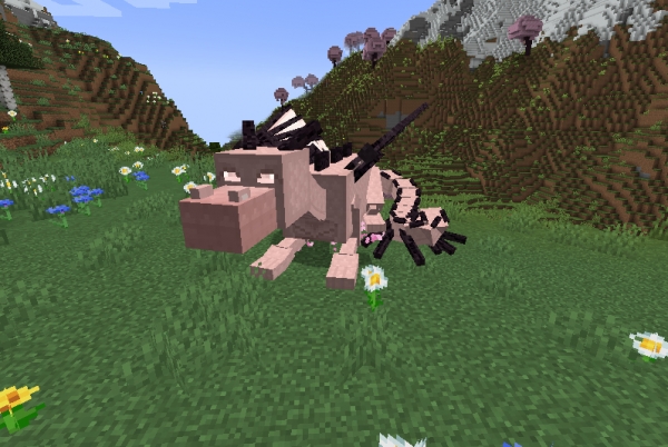 Dragon Mounts Legacy: More Dragons -   [1.21.1] [1.20.1] [1.19.2]