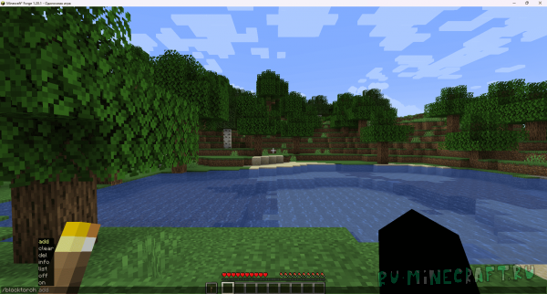 NoPlacingTorch -          [1.19.1 - 1.21.5]