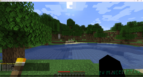 NoPlacingTorch -          [1.19.1 - 1.21.5]