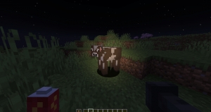 Flashables - ��������� ������� [1.20.1]