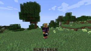 PVP Tools -    [16px]