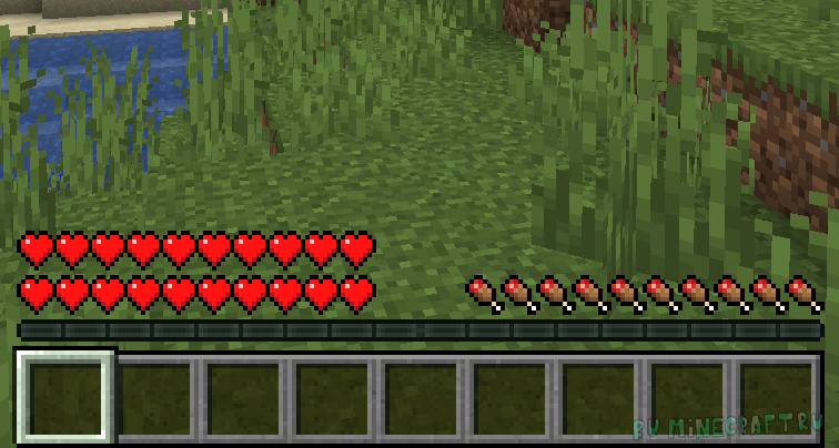 Health Doubler -   [1.20.1]