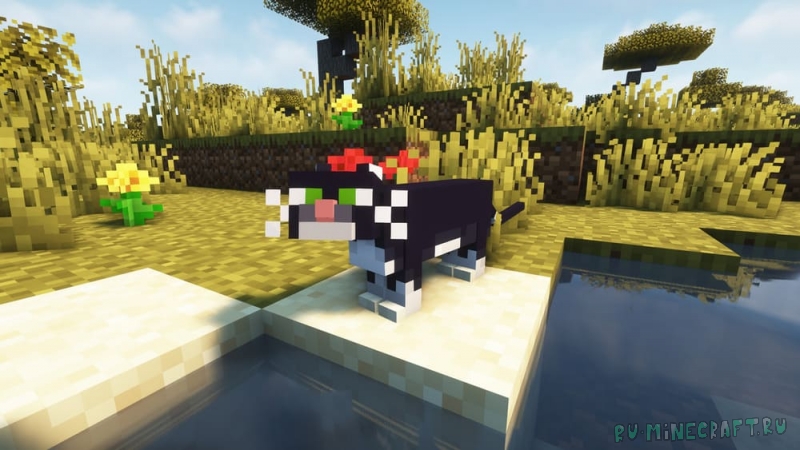 Realistic Cats -      [1.21.9] [1.21] [1.20.1] [16x]