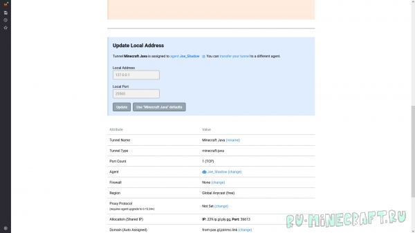     - (Playit) -   [Guide]