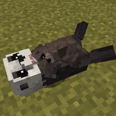 Animal Garden - Sea Otter -   [1.21.10] [1.21.8] [1.21.4] [1.21.1] [1.20.1]