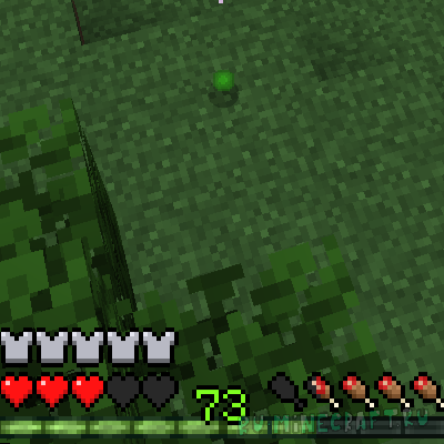 Static XP Levels -    [1.21.1]