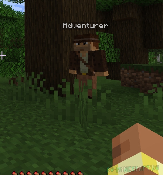 Adventurer Companion -       [1.20.1]