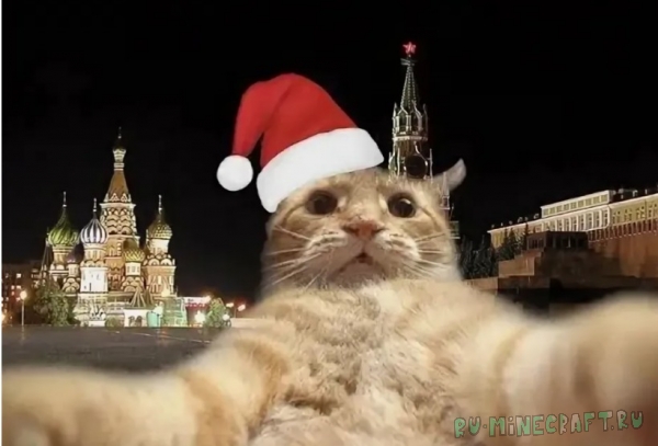 , !  !    ,      !!!