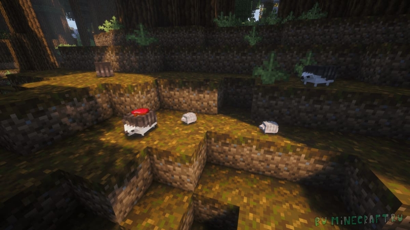 Re:Animal -    [1.21.1]