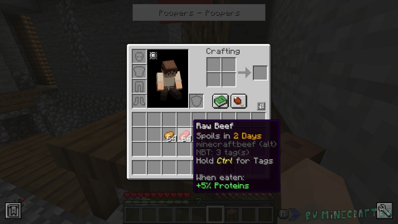 Food Spoiling - �������� ����� ��� [1.20.1]