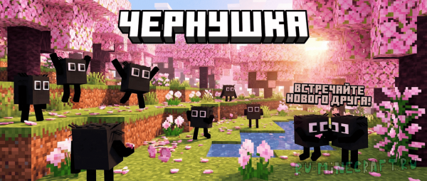 �������� - ����� ���-��������. 