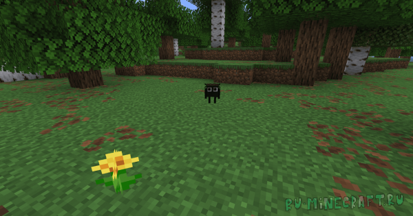 �������� - ����� ���-��������. 