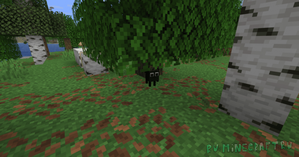 �������� - ����� ���-��������. 