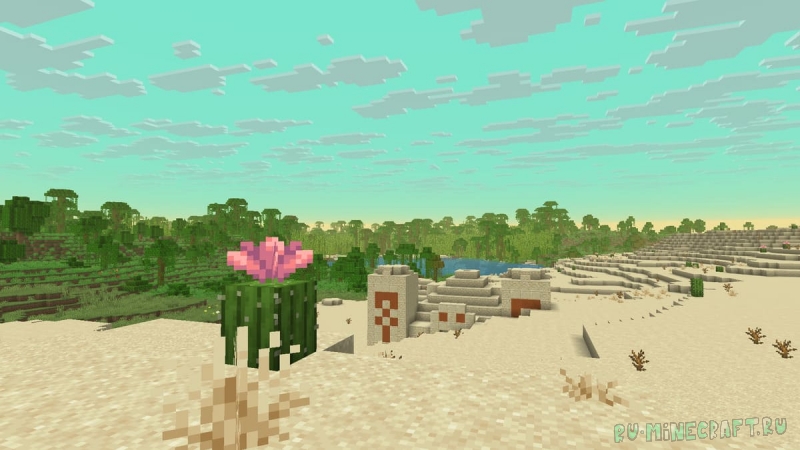 BiomeBloom - ��������� ��������� ������ [1.21.11] [1.20.6] [1.19.4] [1.16.5] [16x]