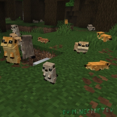 Animal Garden - Prairie Dog - ������� [1.21.11] [1.21.8] [1.21.5] [1.21.4] [1.21.1] [1.20.1]