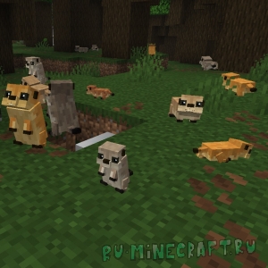 Animal Garden - Prairie Dog - ������� [1.21.11] [1.21.8] [1.21.5] [1.21.4] [1.21.1] [1.20.1]