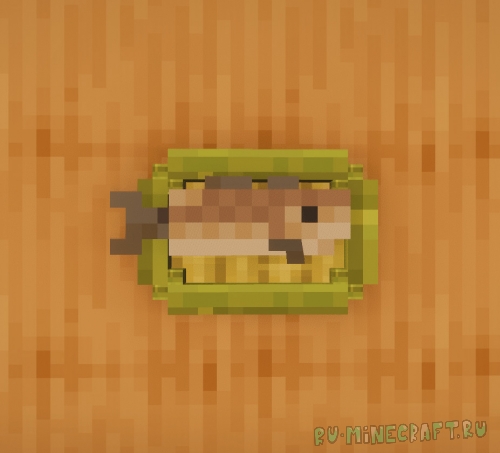 Fish Display - ������� ��������� ���� ��� ������ [1.20.1]