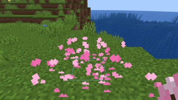 Particle Interactions - ������ ������ [1.21.11] [1.21.5]