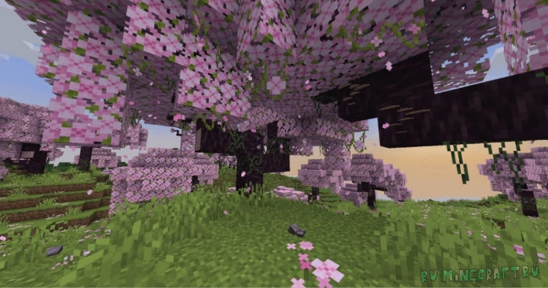 Musgo - ����� ��� � ������ ����������, ���������, ������� [1.21.11] [1.20.6] [16x]