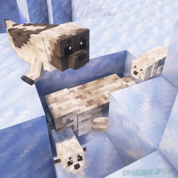 Animal Garden - Harp Seal - ������ [1.21.11] [1.21.8] [1.21.4] [1.21.1] [1.20.1]