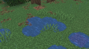 Puddles & Floods - ���� � ���������� [1.21.11] [1.21.10] [1.21.1] [1.20.1]