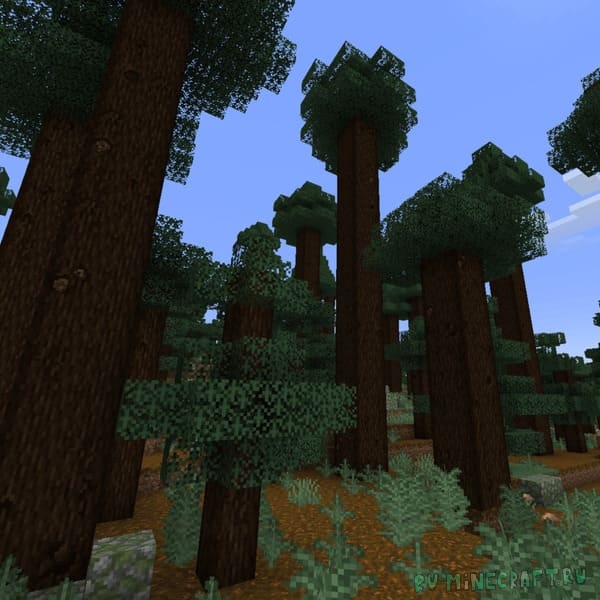 Knots & Rings - ������������ ��� [1.21.5]