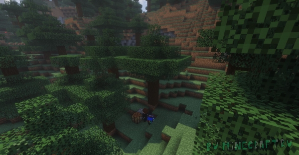 �������� ����, ������� �� ����- ������ ��� ��� ������ [1.21.11]